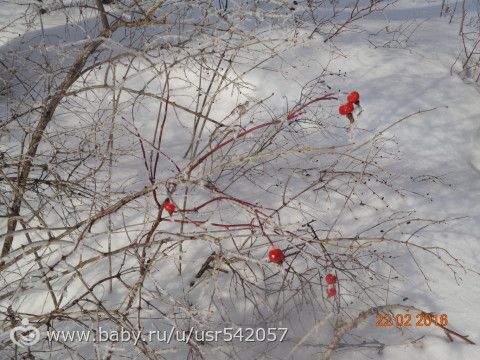 Последняя неделя календарной зимы