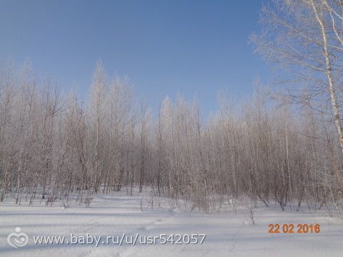 Последняя неделя календарной зимы