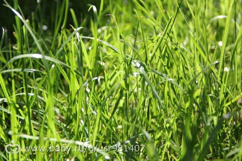 Отчет Марафона &quot;Летний день&quot; 06.07.16г