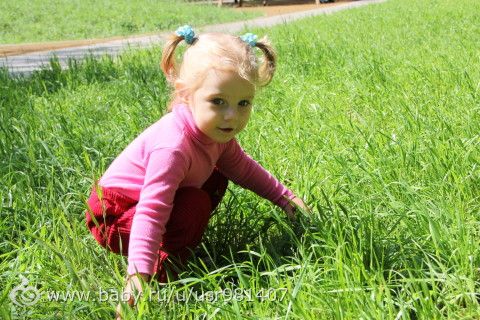 Отчет Марафона &quot;Летний день&quot; 06.07.16г