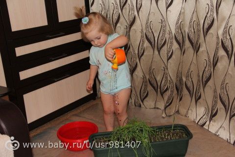 Отчет Марафона &quot;Летний день&quot; 07.07.16г