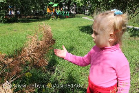 Отчет Марафона &quot;Летний день&quot; 08.07.16г