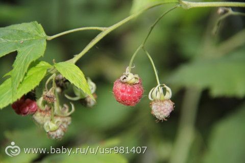 Отчет Марафона &quot;Летний день&quot; 08.07.16г