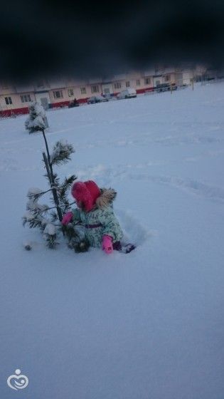 Зимний марафон