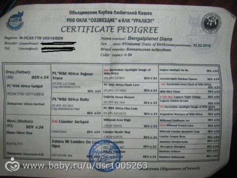 Это и есть родословная?
