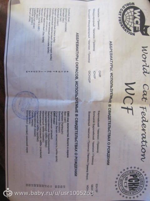 Это и есть родословная?
