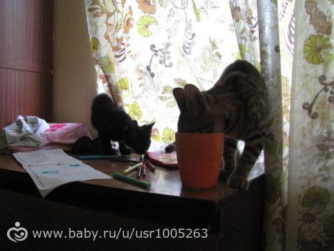 А окрас то раскрывается потихоньку)))