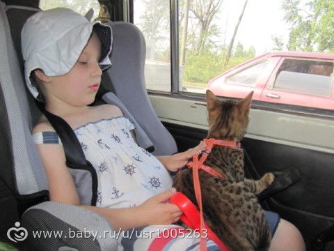 А окрас то раскрывается потихоньку)))